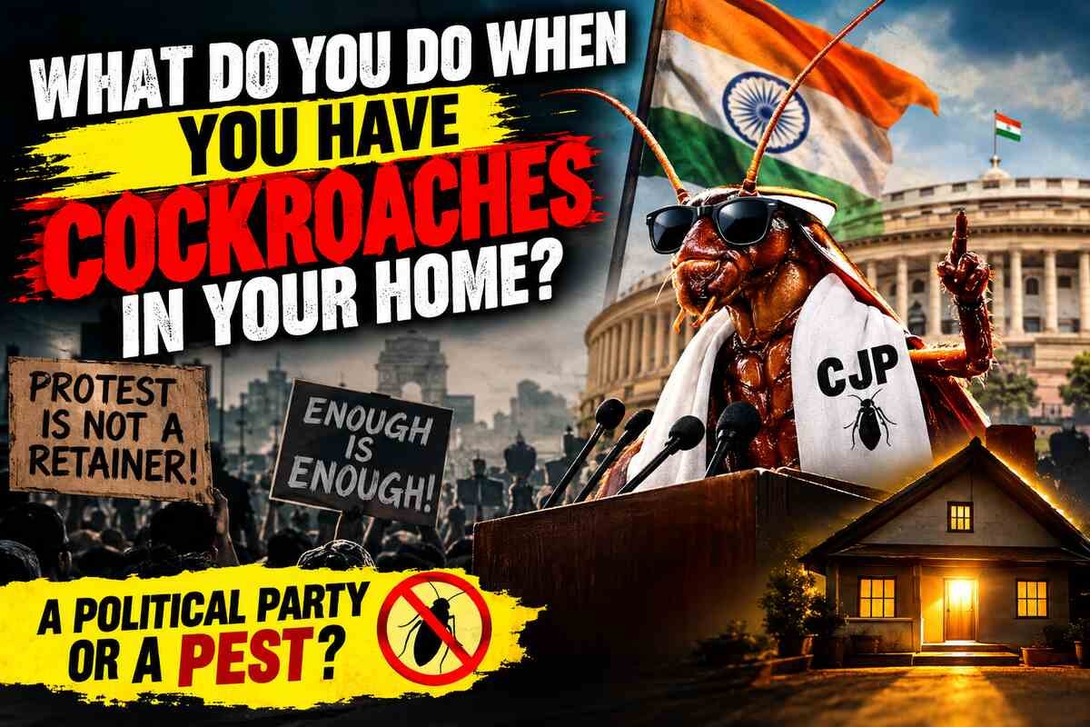 What Do You Do When You Have Cockroaches in Your Home